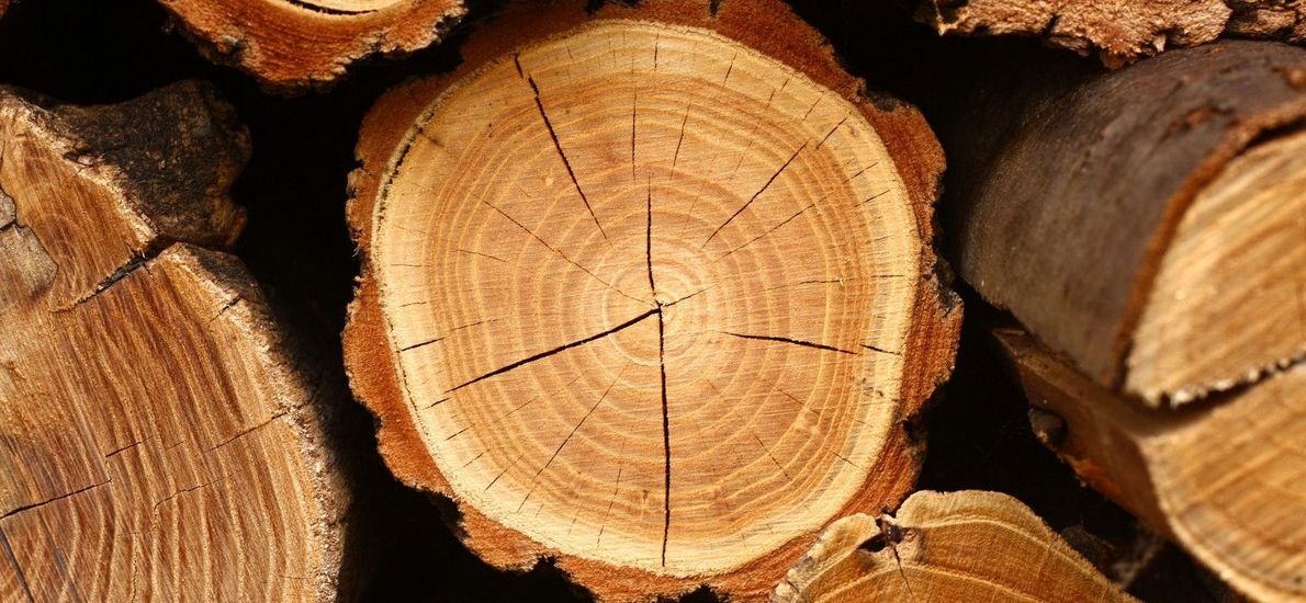 image883dab1f.jpg